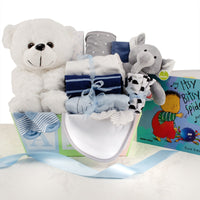 Baby Boy Welcome Gift Basket