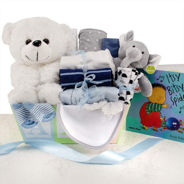 Baby Boy Welcome Gift Basket