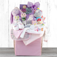 Baby Girl Celebration Gift Basket